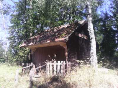 offene Holzhütte im Wald
