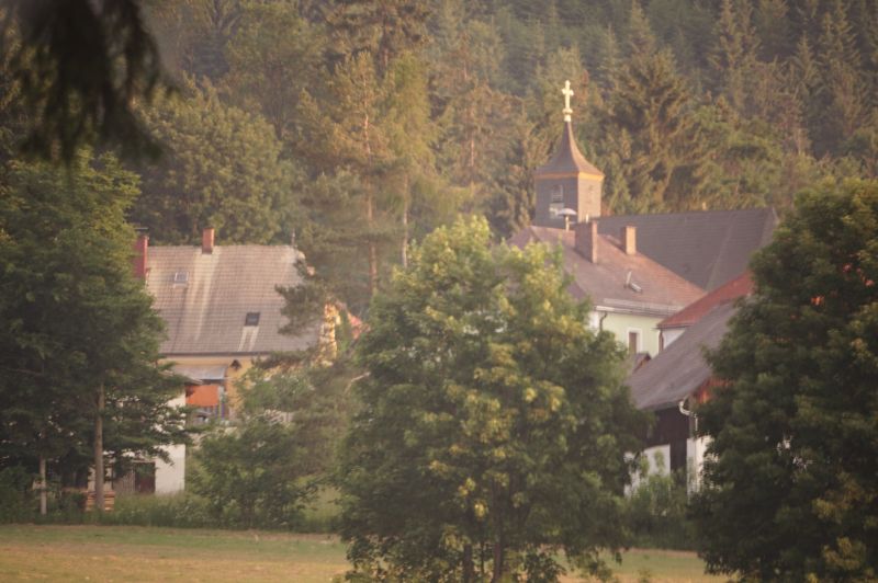 Häuser des Dorfkerns und Kirche zwischen Bäumen und vor Waldhang